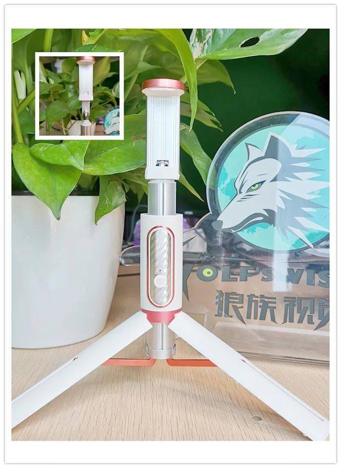 进口袋的自拍杆小巧方便。尊龙凯时app能轻松放(图10)